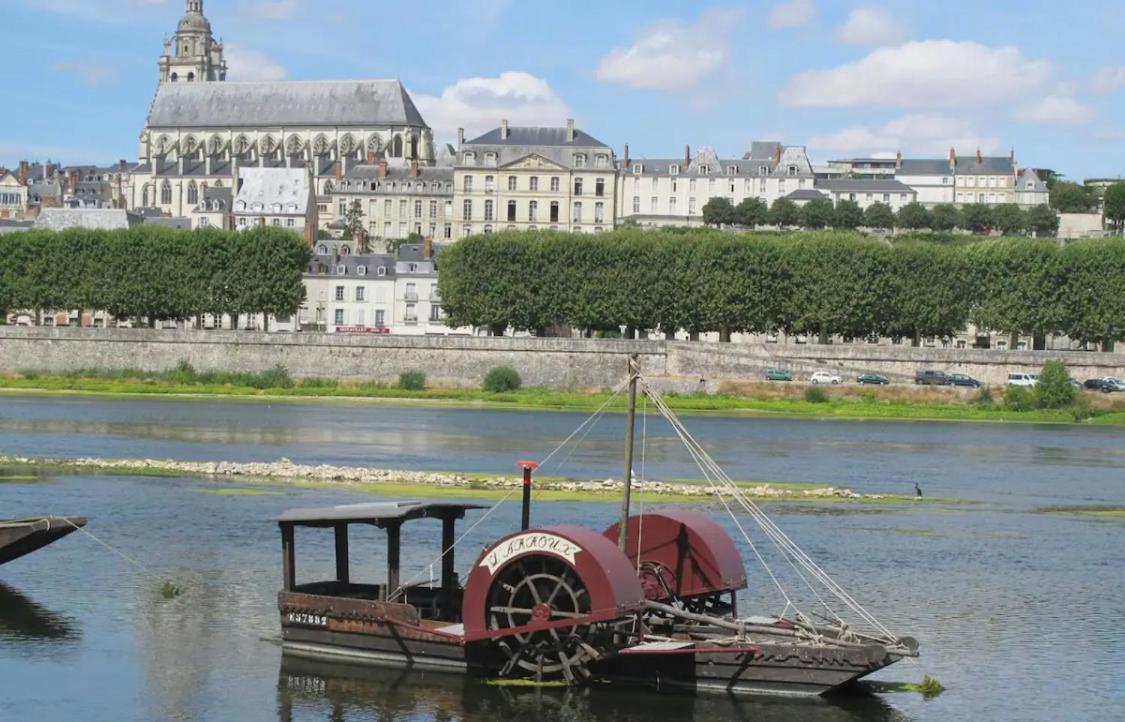 Joli Appart Cour Proche Bord De Loire ブロワ エクステリア 写真