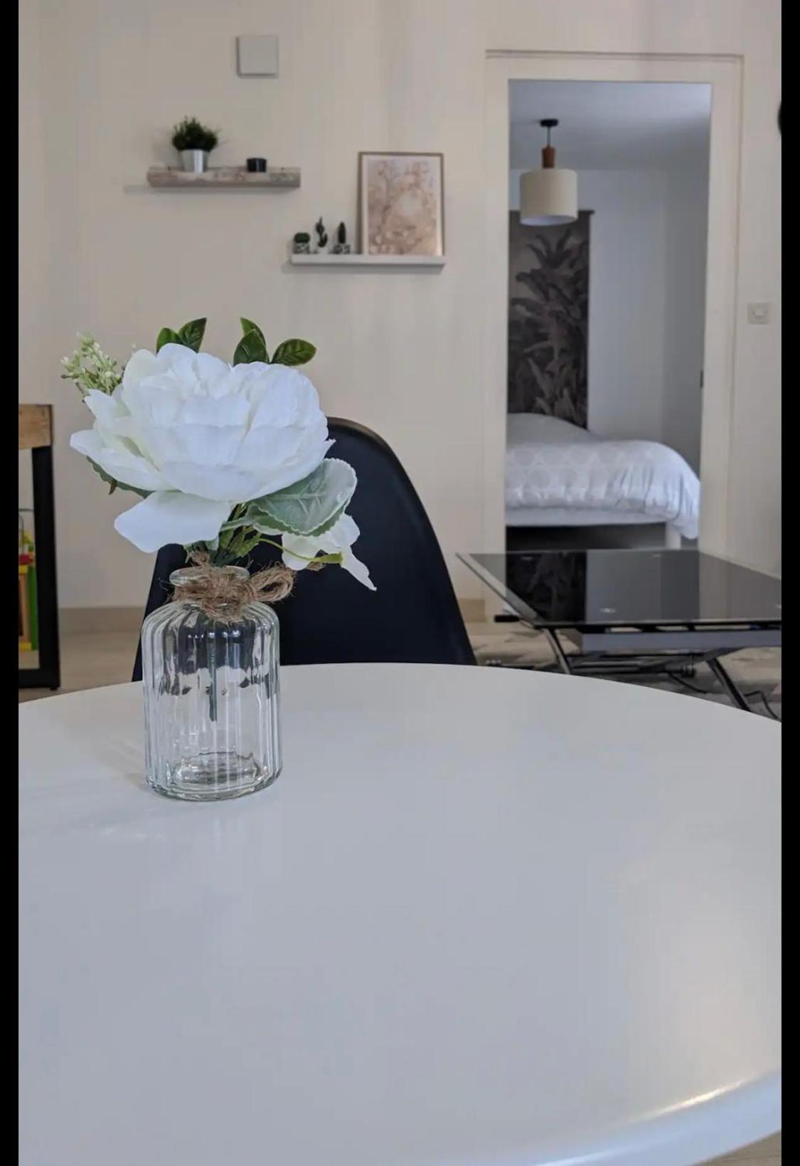Joli Appart Cour Proche Bord De Loire ブロワ エクステリア 写真